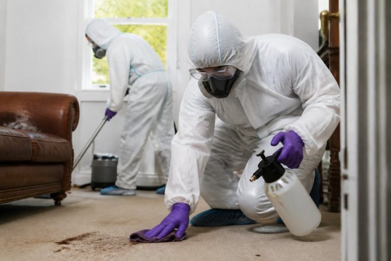 Benefits of Hiring Local Trauma Cleaners in the UK