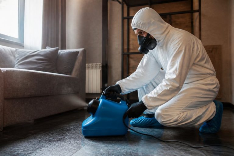 Emergency Odor Removal: Rapid Response Guide