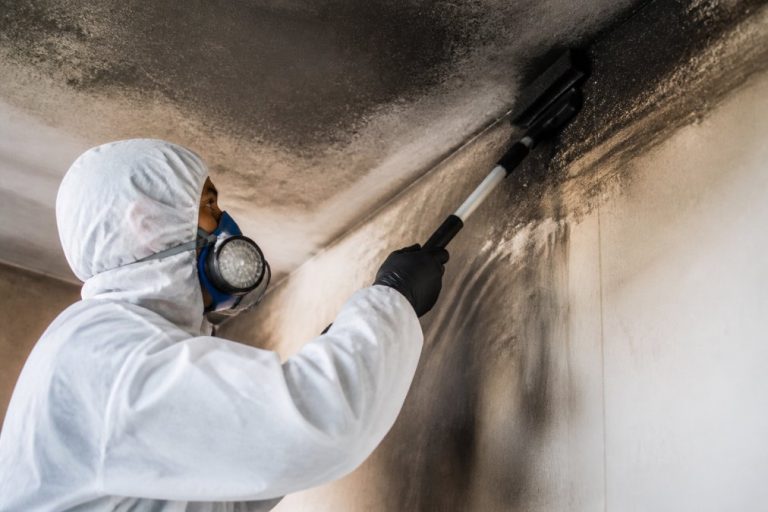 Professional Soot Cleaning Services Reviews: What to Check
